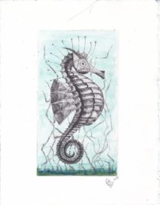 Hippocampe en gravure taille douce et aquarelle d'aprés un dessin original de Michel Lasnier