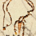 Sautoir coquillages, perles bois, ambre, agates, gorgone dorée, graines