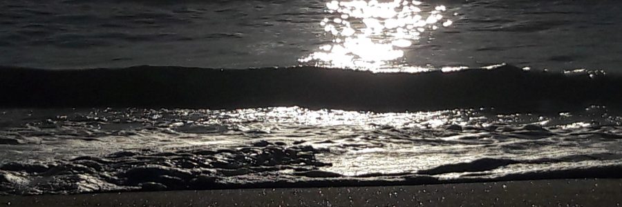 Clair obscur sur le rivage